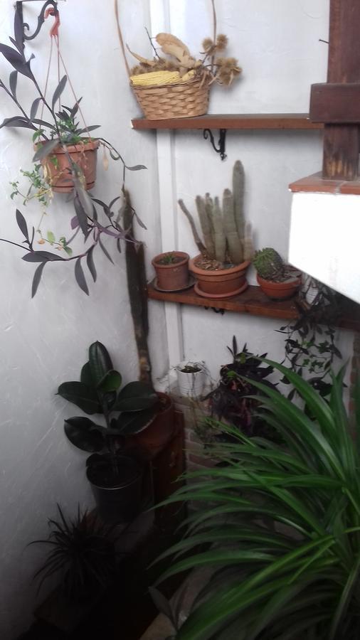Osteria Alle Risorgive Codroipo Luaran gambar